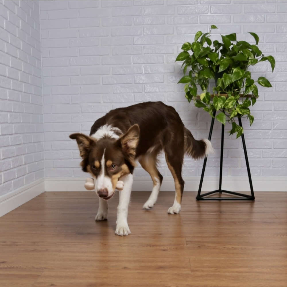 Brinquedo Chalesco Durabone em Nylon para Cães - Tam. M