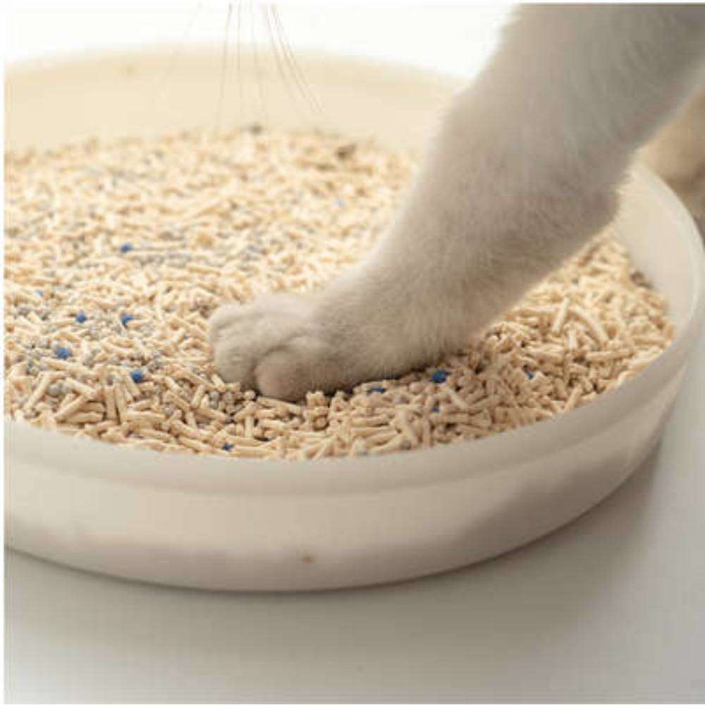 Granulado Higiênico Pidan Tofu com Areia Sanitária para Gatos Grãos Médios - 3,6Kg
