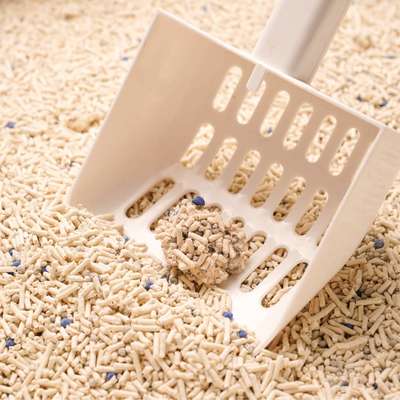 Granulado Higiênico Pidan Tofu com Areia Sanitária para Gatos Grãos Médios 2,4kg