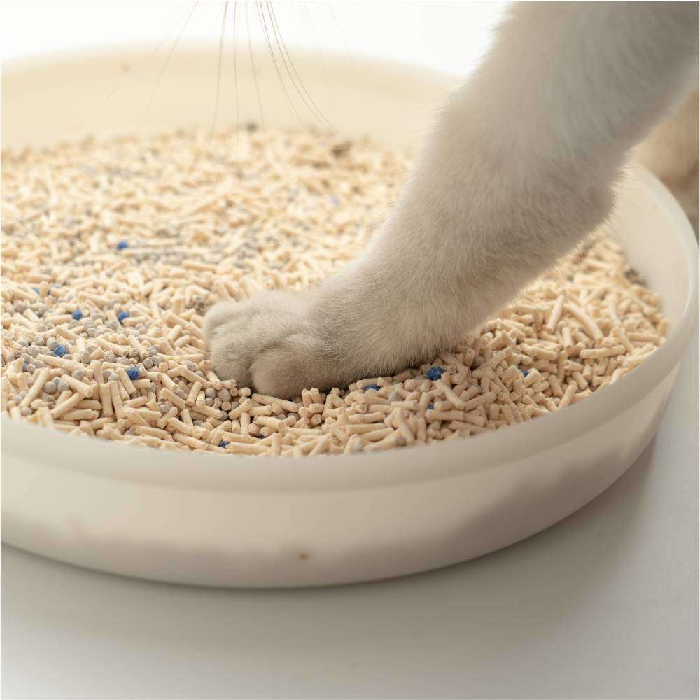 Granulado Higiênico Pidan Tofu com Areia Sanitária para Gatos Grãos Médios - 2,4Kg