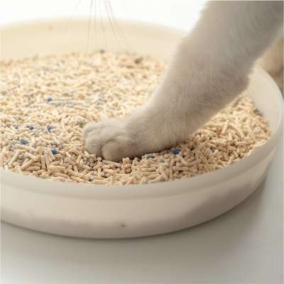 Granulado Higiênico Pidan Tofu com Areia Sanitária para Gatos Grãos Médios 2,4kg