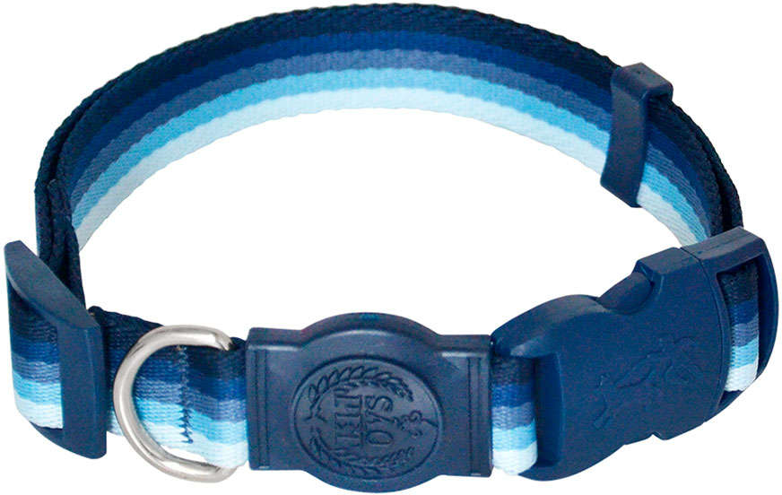 Coleira Ajustável São Pet Degradê Azul - Tam. G