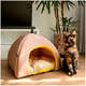 Cama Tenda São Pet Texas Tropical Bege