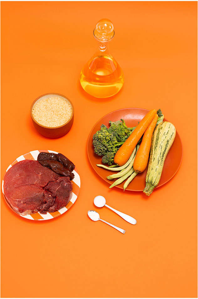 Ração Congelada Focin Alimentação Completa para Cães Adultos Sabor Carne - 250 g