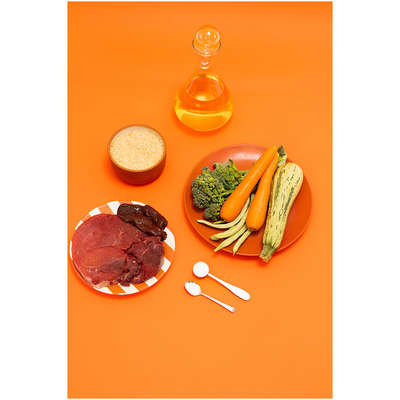 Ração Úmida Focin Alimentação Completa para Cães Adultos Sabor Carne