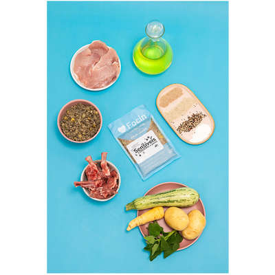 Ração Úmida Focin Alimentação Completa para Cães com Hipersensibilidade Sabor Cordeiro e Porco