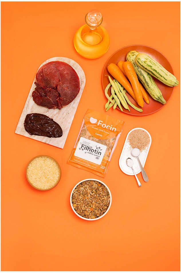Ração Congelada Focin Alimentação Completa para Cães Filhotes Sabor Carne - 250 g