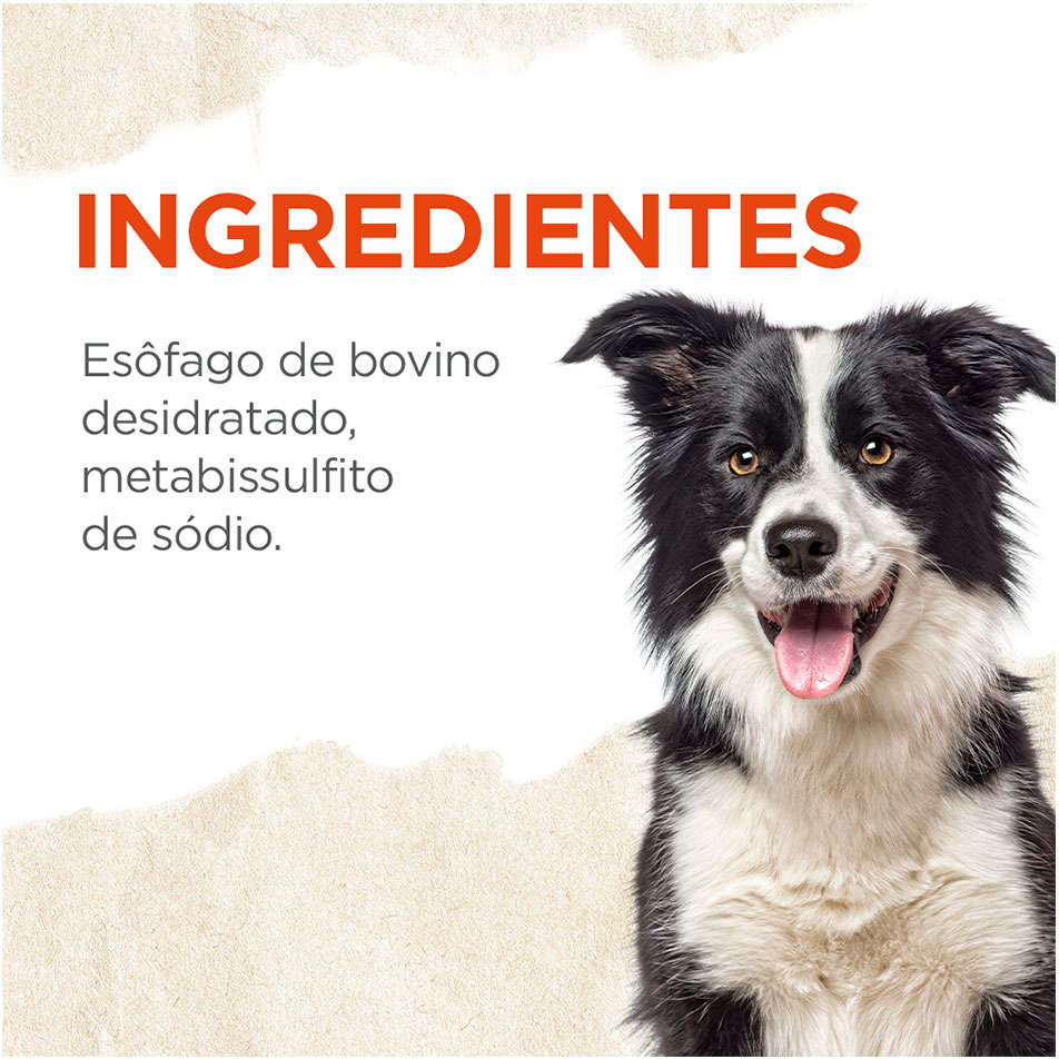 Esôfago Natural Farm para Cães Adultos 6'' - 10 Unidades