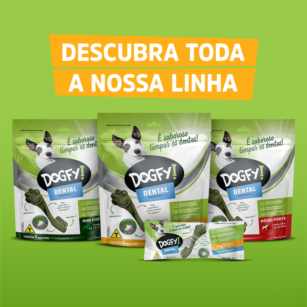 Petisco Dogfy para Cães Adultos Porte Pequeno Sabor Menta - 5 Unidades