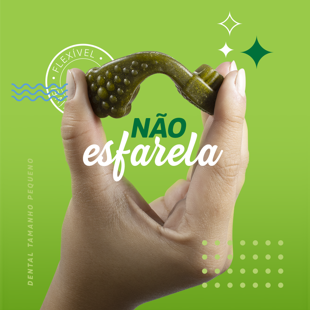 Petisco Dogfy para Cães Adultos Porte Mini Sabor Menta - 7 Unidades