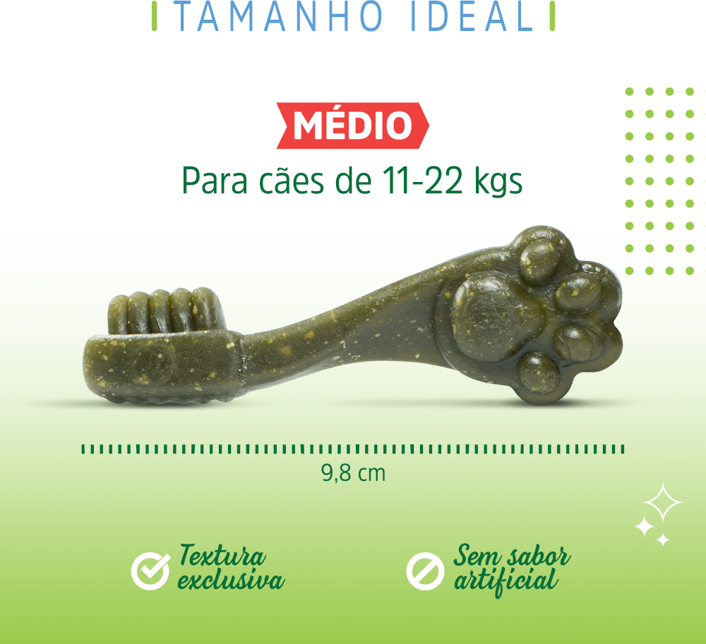 Petisco Dogfy para Cães Adultos Porte Médio Sabor Menta - 3 Unidades