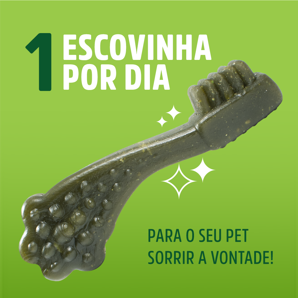 Petisco Dogfy para Cães Adultos Porte Médio Sabor Menta - 3 Unidades
