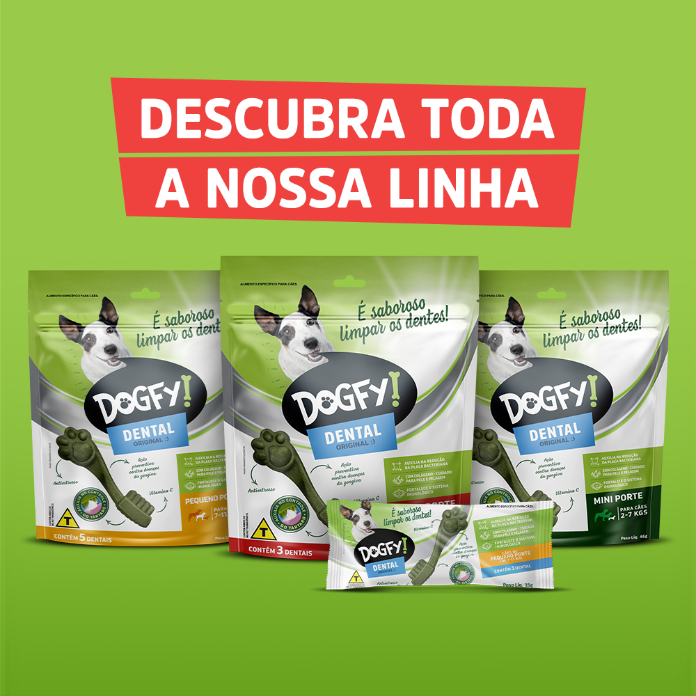 Petisco Dogfy para Cães Adultos Porte Médio Sabor Menta - 3 Unidades