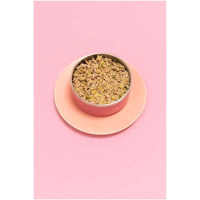 Ração Úmida Focin Alimentação Completa para Cães Adultos Sabor Porco