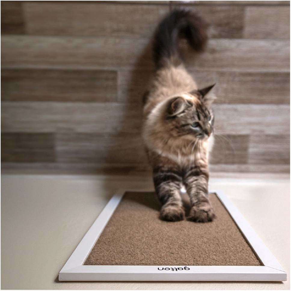 Brinquedo Arranhador Slim RonRock Branco - Tam. Único