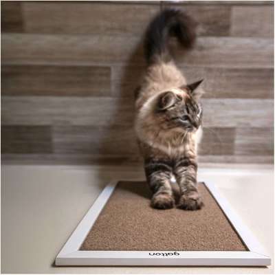 Brinquedo Arranhador Slim RonRock Branco