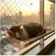 Cama de Janela Catbed Malibu para Gatos
