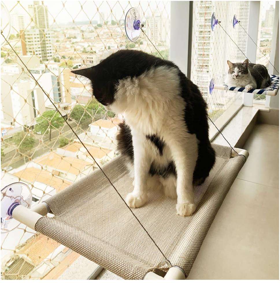 Cama de Janela Catbed Malibu para Gatos - Tam. King