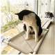 Cama de Janela Catbed Malibu para Gatos