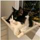 Cama de Janela Catbed Malibu para Gatos