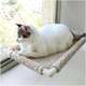 Refil Cama Gatton Catbed Carneirinho para Gatos