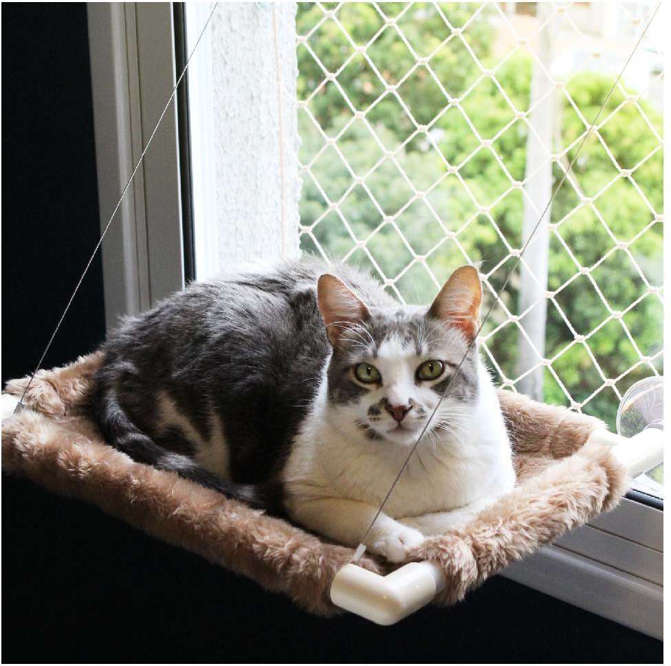 Refil Cama Gatton Catbed Pelúcia Areia para Gatos - Tam. M