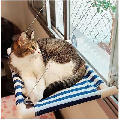 Cama de Janela Gatton Catbed Mykonos para Gatos
