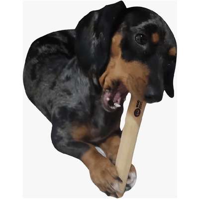 Brinquedo Mordedor WoodnPets Sustentavel Rústico para Cães