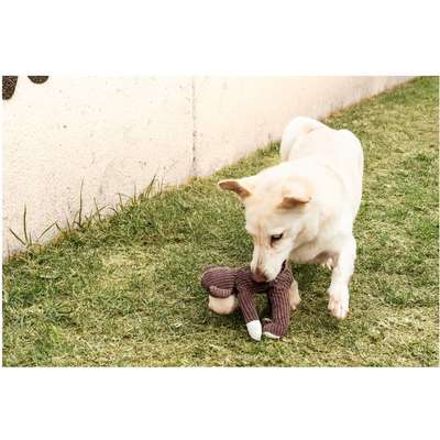 Brinquedo Pelúcia Macaco Germanhart Maucaco Marrom
