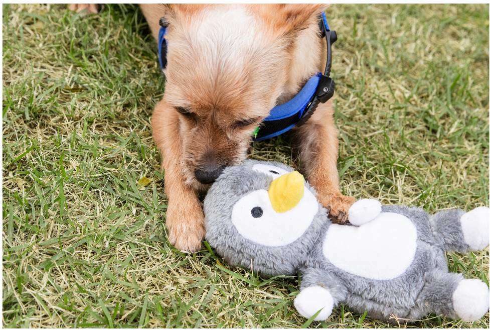 Brinquedo Pelúcia Pinguim Germanhart Pingau Cinza - Tam. Único