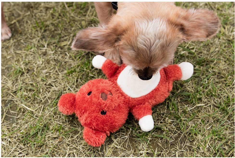 Brinquedo Pelúcia Ursinho Germanhart Aursinho Vermelho - Tam. Único