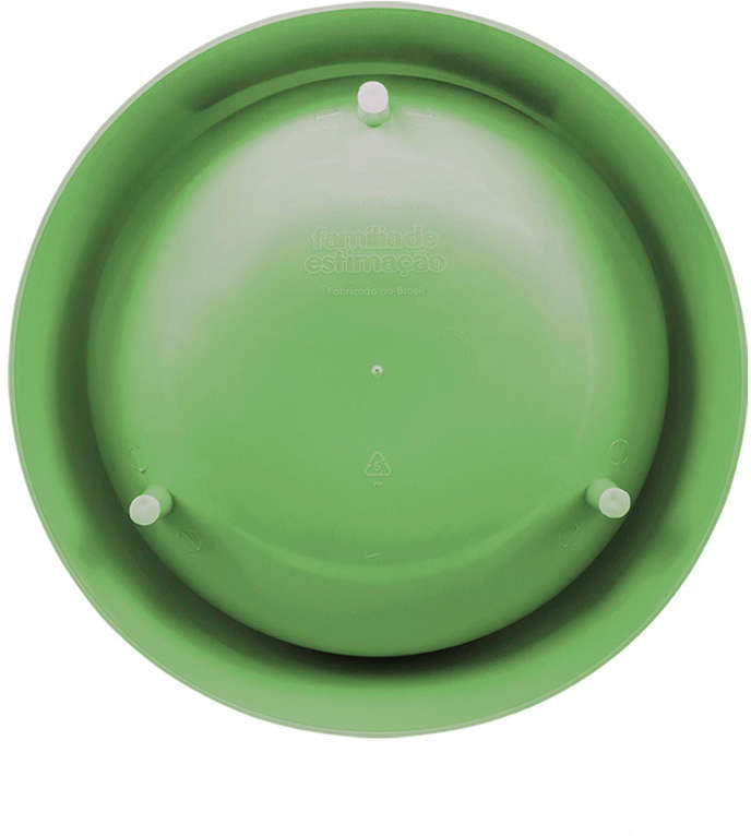 Comedouro Slim Família de Estimação Verde Cítrico - Tam. GG