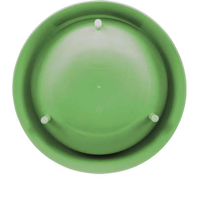 Comedouro Slim Família de Estimação Verde Cítrico