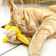 Brinquedo Pelúcia Gatton CatFood Borboleta com Catnip para Gatos”