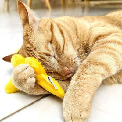 Brinquedo Pelúcia Gatton CatFood Borboleta com Catnip para Gatos”