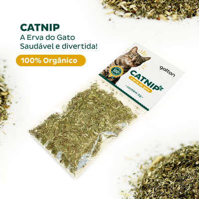 Erva do Gato Gatton Catnip 100% Natural e Orgânico