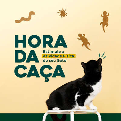 Brinquedo Instintivo Gatton Hora da Caça em Kraft