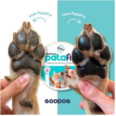 Balm Hidratante para Patas e Focinho Goodog PataFix