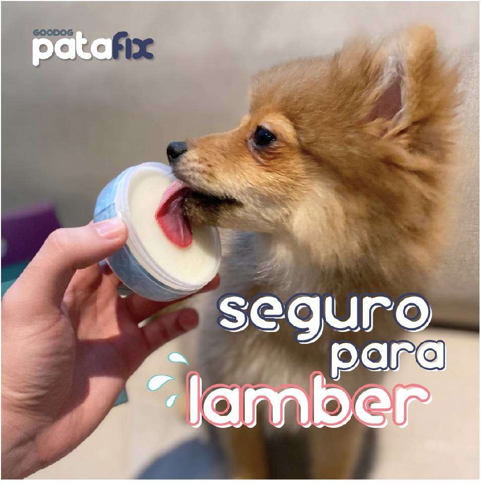 Balm Hidratante para Patas e Focinho Goodog PataFix - 40 g
