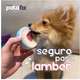 Balm Hidratante para Patas e Focinho Goodog PataFix