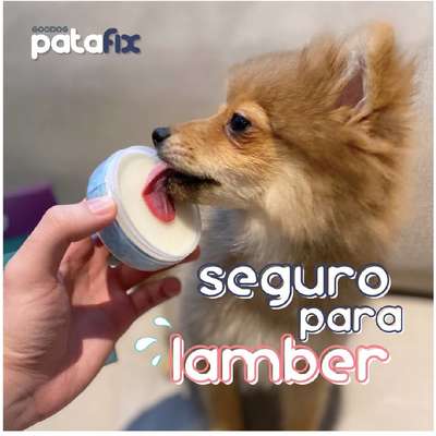 Balm Hidratante para Patas e Focinho Goodog PataFix