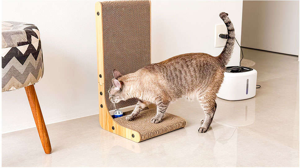 Arranhador de Parede Jambo Pet Scratchcer L - Tam. Único