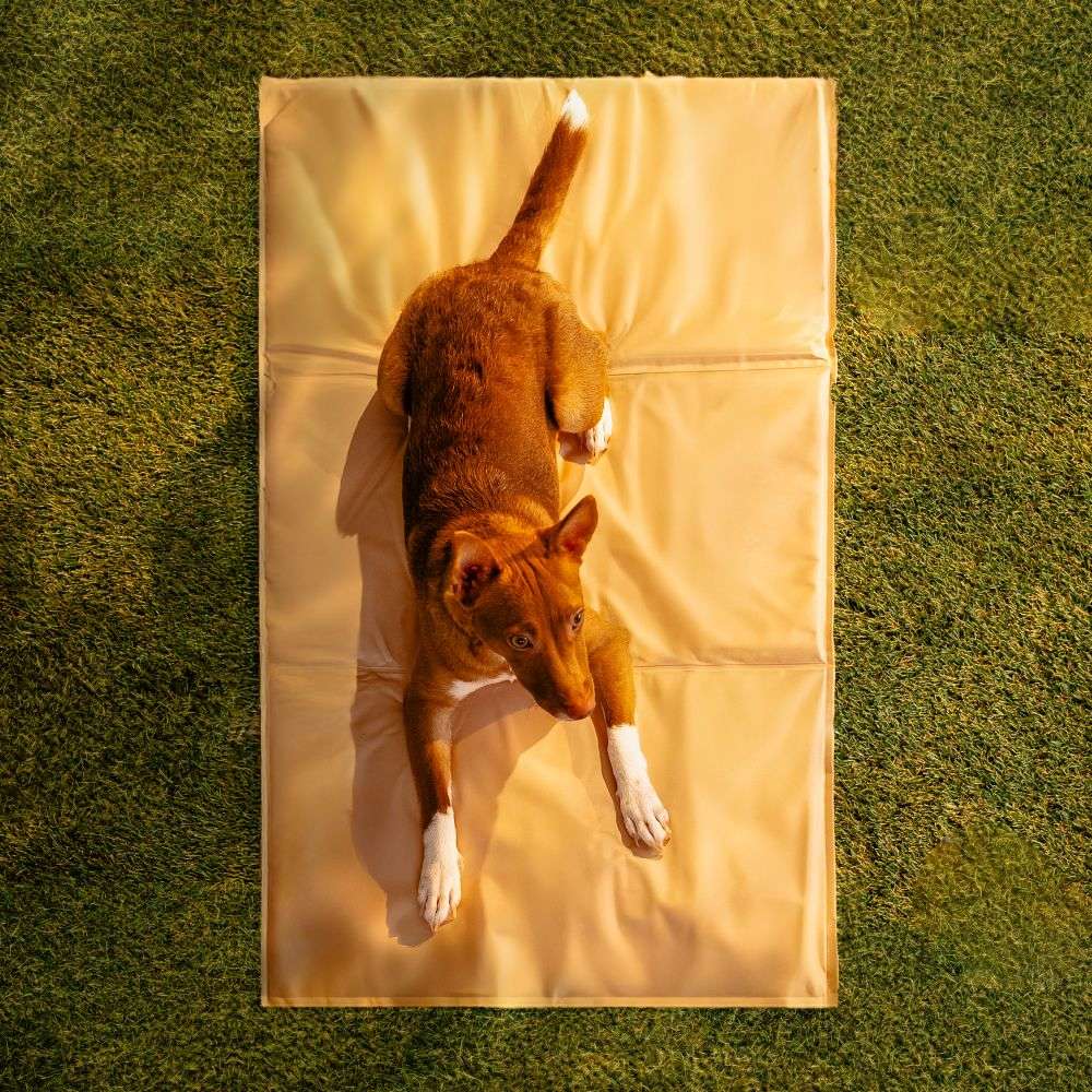 Tapete Gelado Quadrado Meau para Cães e Gatos - Tam G 70x110cm