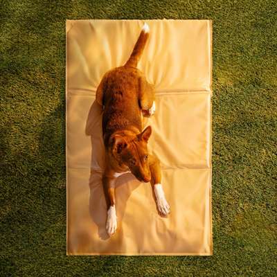 Tapete Gelado Quadrado Meau para Cães e Gatos