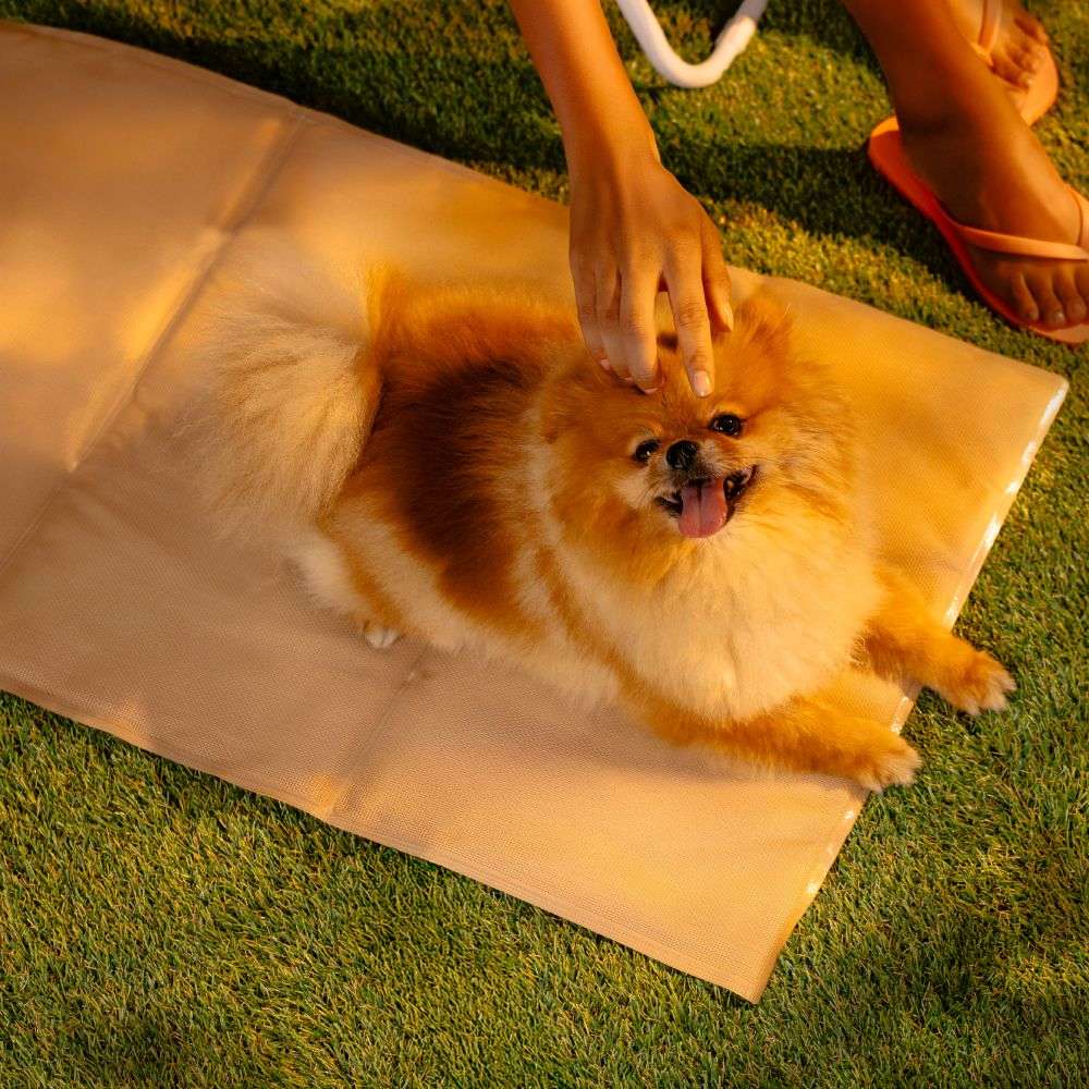 Tapete Gelado Ultra Resistente Meau para Cães e Gatos - Tam M 50x90cm