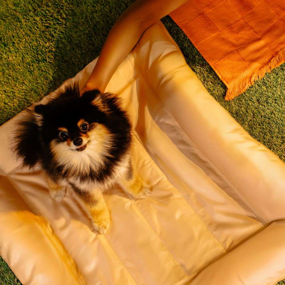 Cama Gelada Refrescante Meau para Cães e Gatos - Tam. M
