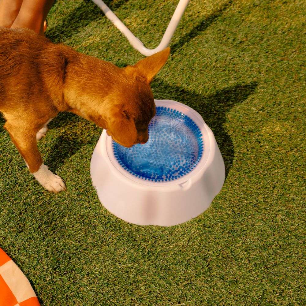 Bebedouro Gelado Meau para Cães e Gatos - Tam. G