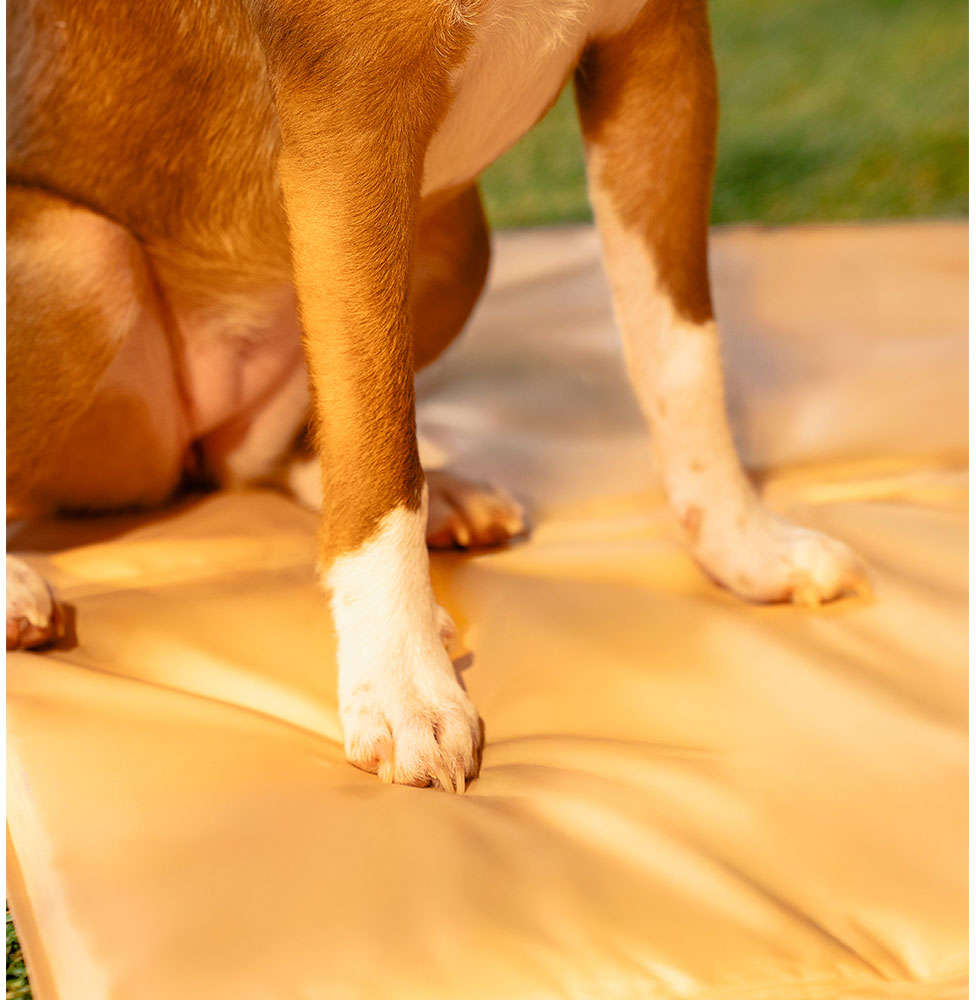Tapete Gelado Quadrado Meau para Cães e Gatos - Tam G 70x110cm