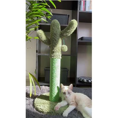 Arranhador Jambo Pet Cacto de Sisal