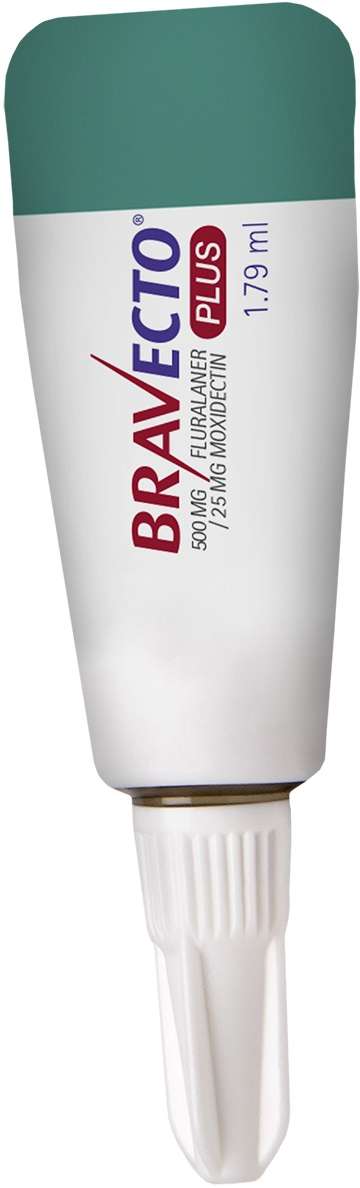 Antipulgas Bravecto Transdermal Plus 280 mg para Gatos de 6,25 a 12,5Kg - 1 Pipeta